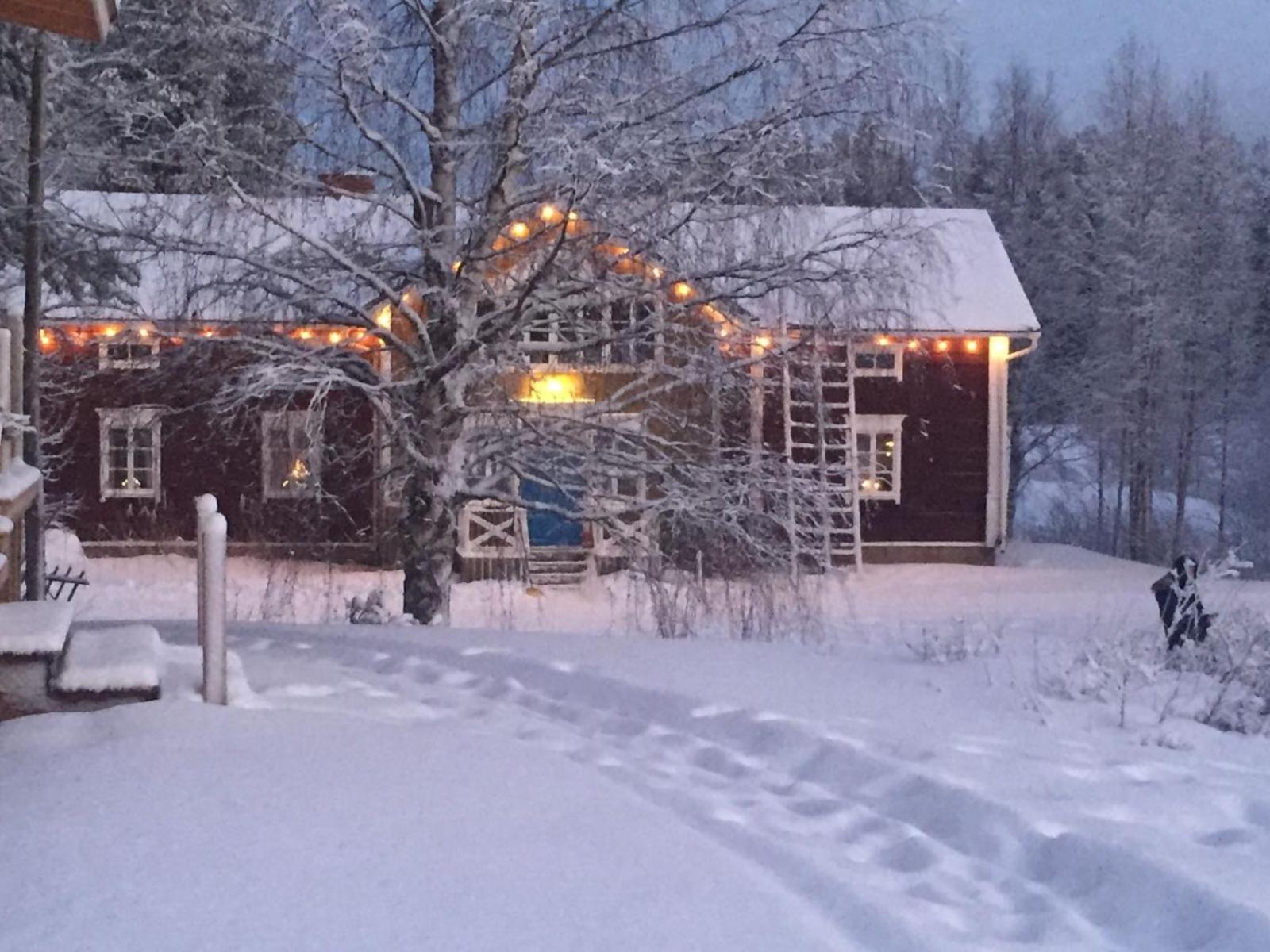 Korvala Log Cabins Exteriér fotografie